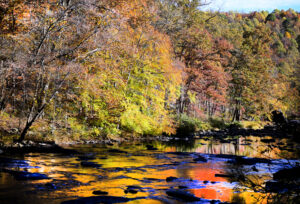 GALLERY: Fall Colors Appear in the Morgantown Area